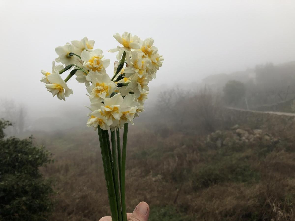 Valverde de la Vera Lanzaroco, Tu Casa En La Vera מראה חיצוני תמונה